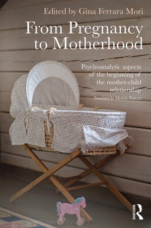 Cover art for From Pregnancy to Motherhood
