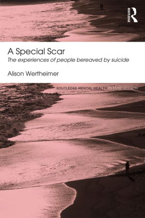 Cover art for A Special Scar