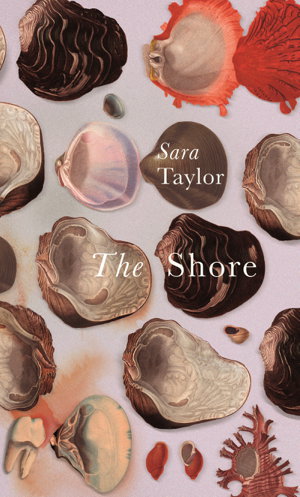Cover art for The Shore