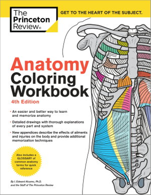 Cover art for Anatomy Coloring Workbook, 4th Edition