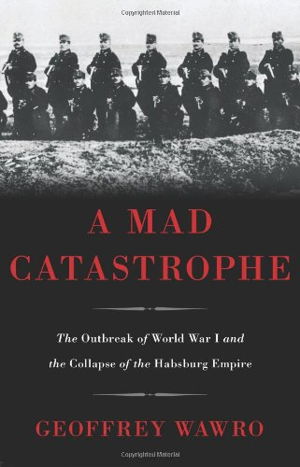 Cover art for A Mad Catastrophe