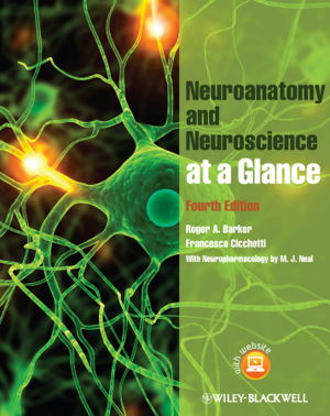 Cover art for Neuroanatomy and Neuroscience at a Glance