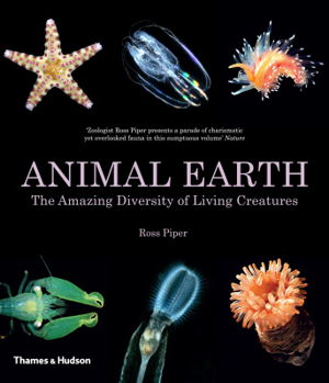 Cover art for Animal Earth