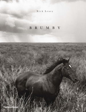 Cover art for Brumby