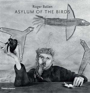 Cover art for Asylum of the Birds
