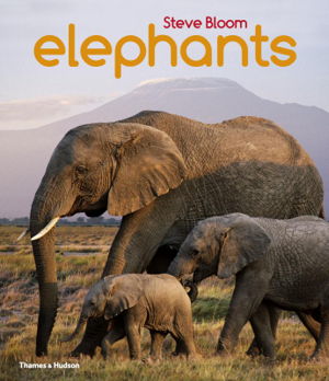 Cover art for Elephants