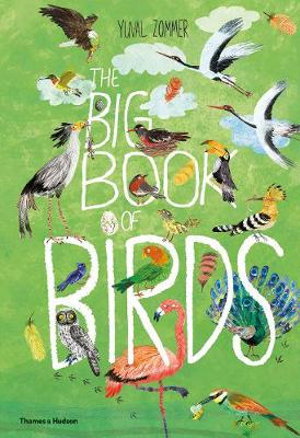 Cover art for The Big Book of Birds