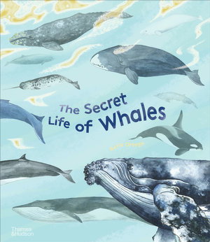 Cover art for The Secret Life of Whales