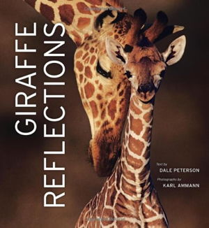 Cover art for Giraffe Reflections