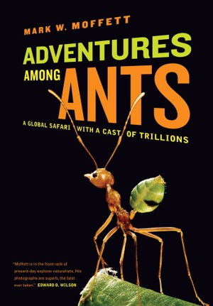 Cover art for Adventures among Ants