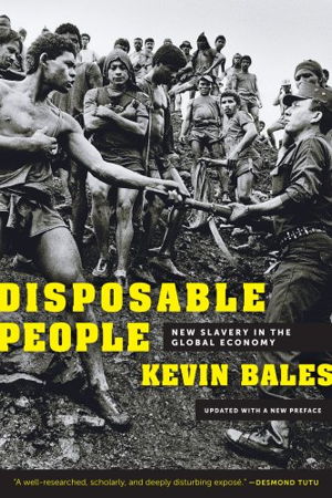 Cover art for Disposable People