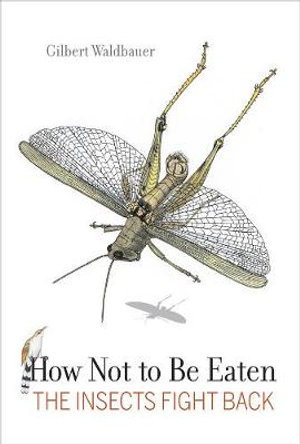 Cover art for How Not to Be Eaten