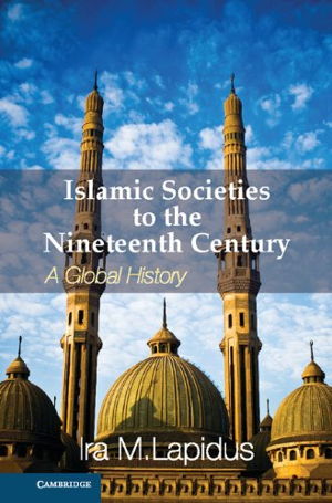 Cover art for Islamic Societies to the Nineteenth Century