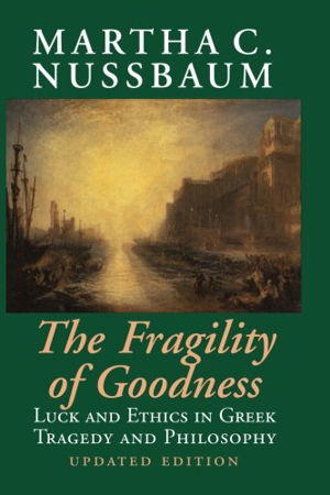 Cover art for The Fragility of Goodness