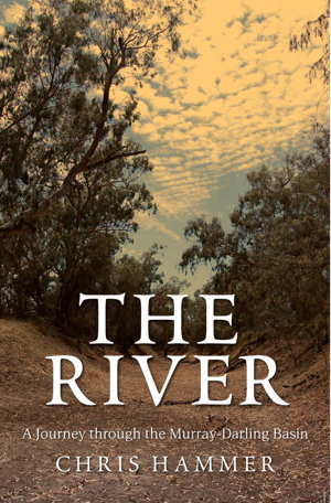 Cover art for The River