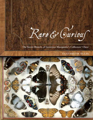 Cover art for Rare and Curious