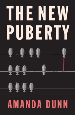 Cover art for The New Puberty