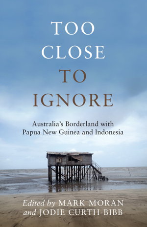 Cover art for Too Close to Ignore