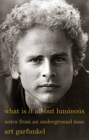 Cover art for What Is It All but Luminous
