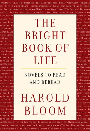 Cover art for Bright Book of Life