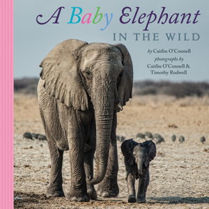 Cover art for Baby Elephant in the Wild
