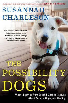 Cover art for The Possibility Dogs