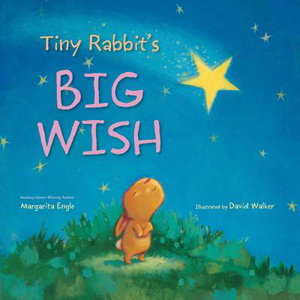 Cover art for Tiny Rabbit's Big Wish