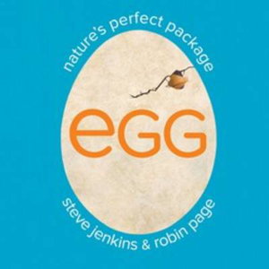 Cover art for Egg