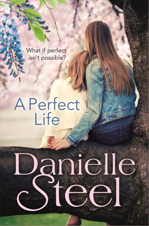 Cover art for A Perfect Life