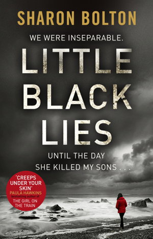 Cover art for Little Black Lies