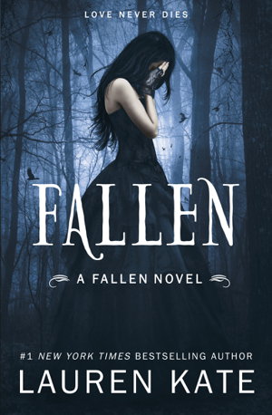 Cover art for Fallen Book of the Fallen 1