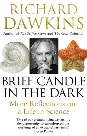 Cover art for Brief Candle in the Dark
