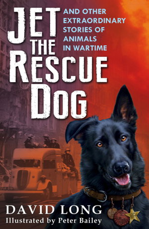 Cover art for Jet the Rescue Dog