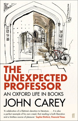 Cover art for The Unexpected Professor