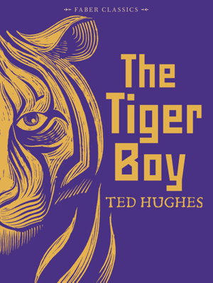 Cover art for The Tigerboy