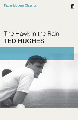 Cover art for The Hawk in the Rain