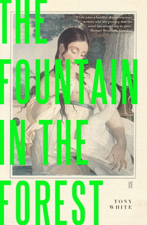 Cover art for The Fountain in the Forest