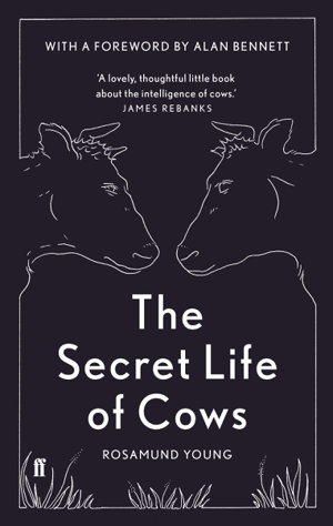 Cover art for The Secret Life of Cows