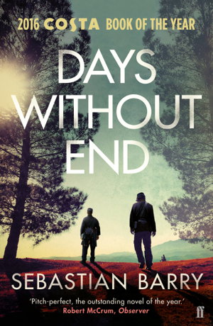Cover art for Days Without End