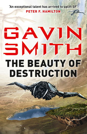 Cover art for The Beauty of Destruction