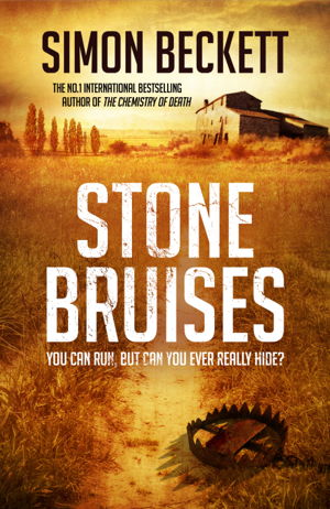 Cover art for Stone Bruises