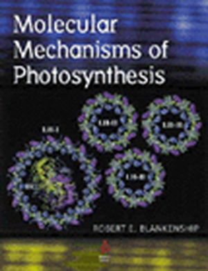 Cover art for Molecular Mechanics of Photosynthetis