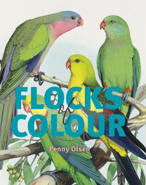 Cover art for Flocks of Colour