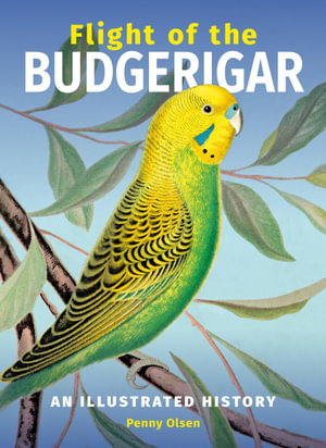 Cover art for Flight of the Budgerigar