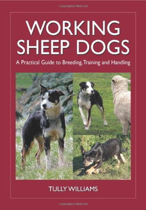 Cover art for Working Sheep Dogs
