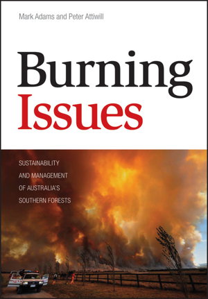 Cover art for Burning Issues