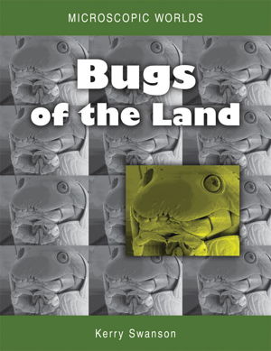 Cover art for Microscopic Worlds Volume 2 Bugs of the Land