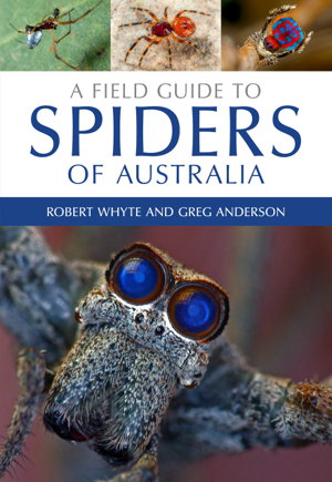 Cover art for A Field Guide to Spiders of Australia