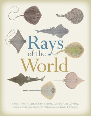 Cover art for Rays of the World