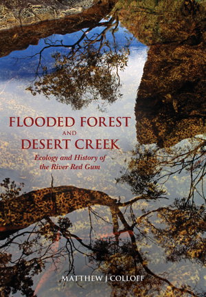 Cover art for Flooded Forest and Desert Creek